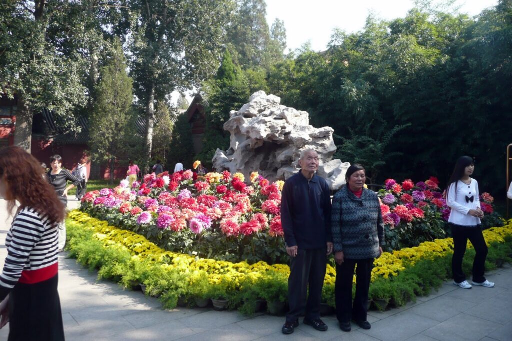 A strange stone in Zhongshan Park